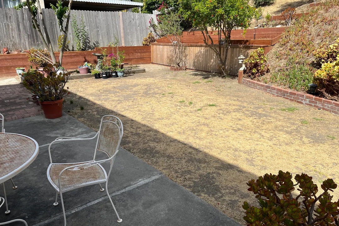 Backyard before install — raw lawn